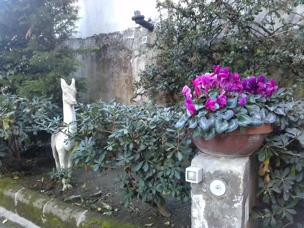 Domus Aurea Bed & Breakfast Naples 3*,